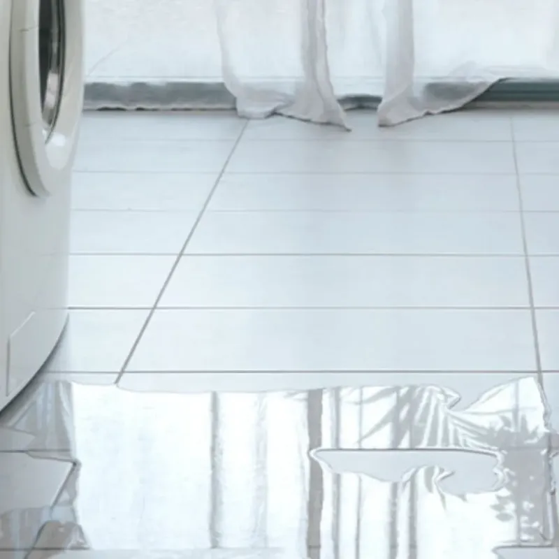 Appliance Leak Cleanup in Kane County, IL