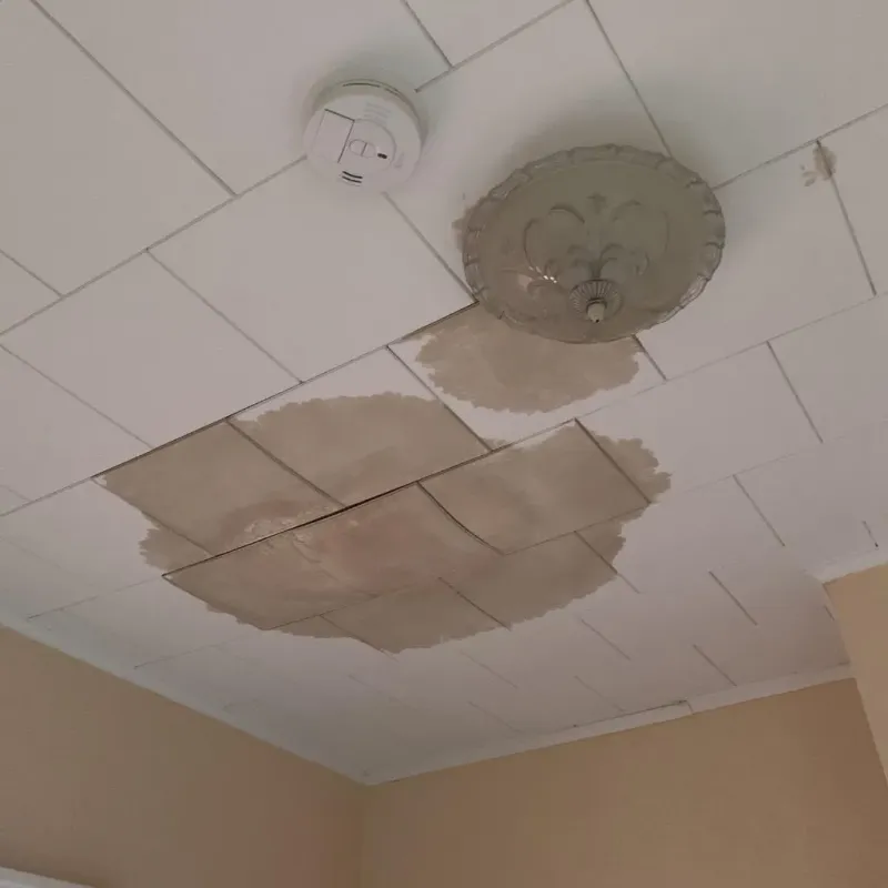 Ceiling Water Damage Repair in Kane County, IL