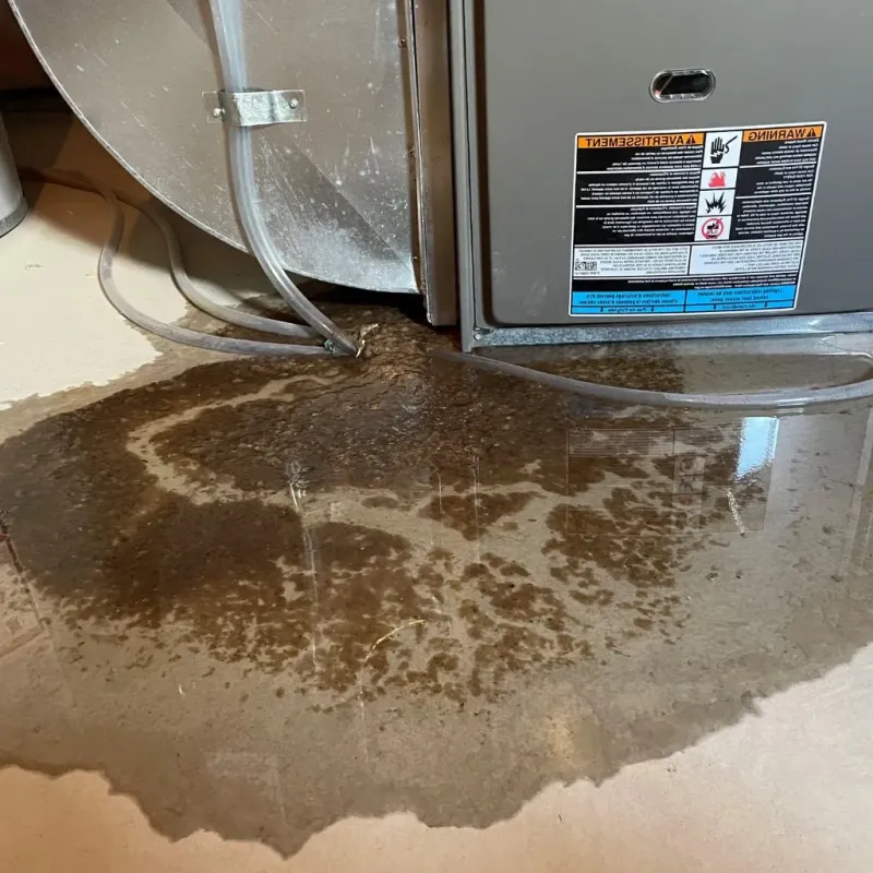 Pipe Burst and Leak Restoration in Kane County, IL